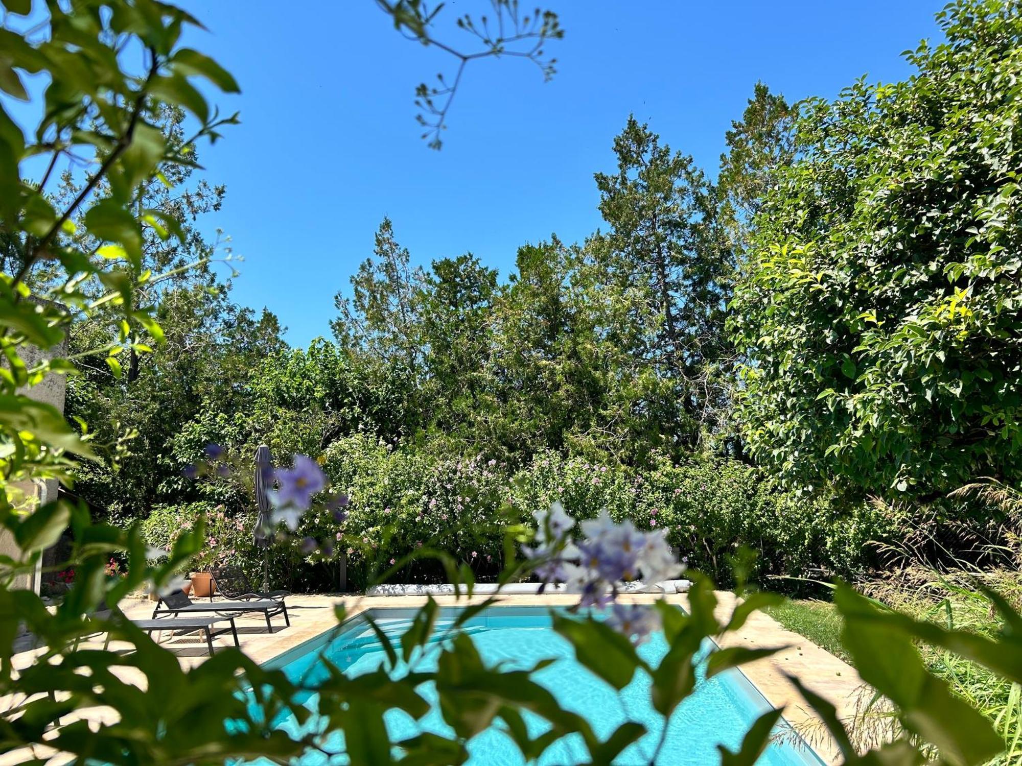 Provenzalisches Landhaus Les Martinets Am Fusse Des Mont Ventoux Villes-sur-Auzon Esterno foto